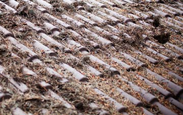 Melin Y Coed roof cleaning companies